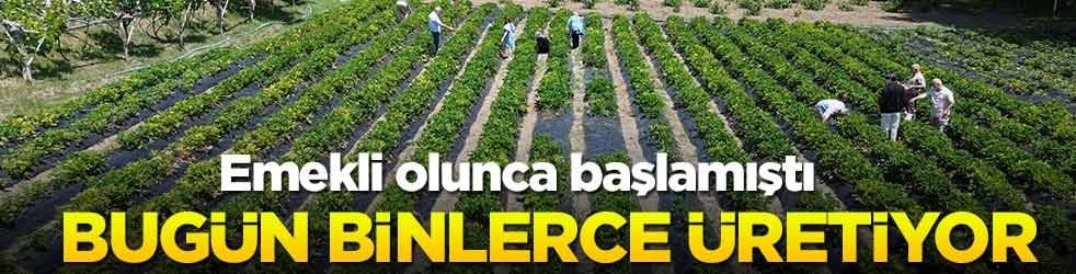 Emekli olunca babasının tarlasını ekmişti... Binlerce üretmeye başladı! Yüzlerce aile ziyaret etti