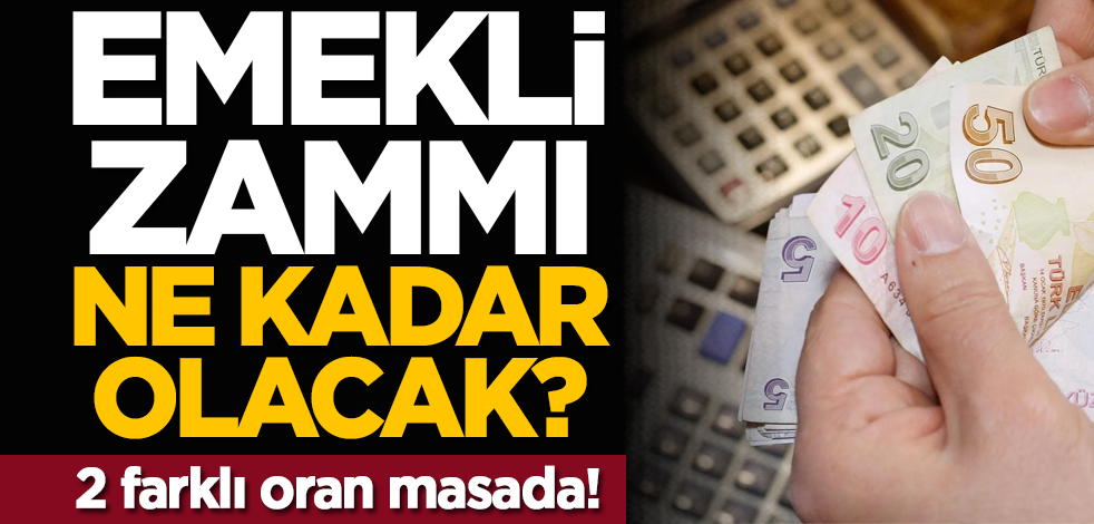 Emekli zammı ne kadar olacak? 2 farklı oran masada!