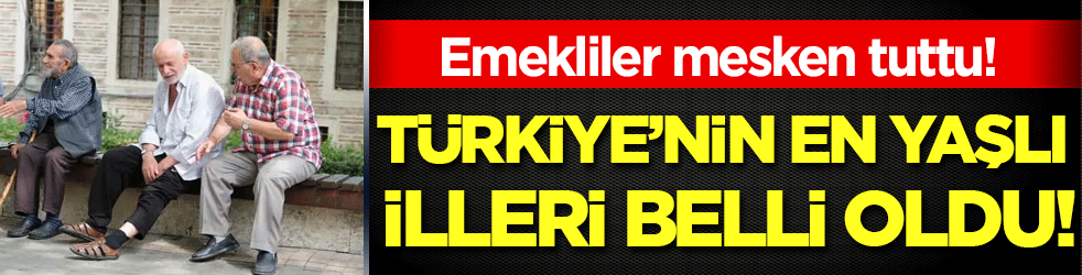 Emekliler mesken tuttu: Türkiye'nin en yaşlı illeri belli oldu!