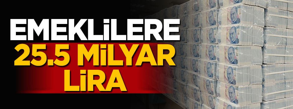 2018 bütçesinde emeklilere 25.5 milyar lira