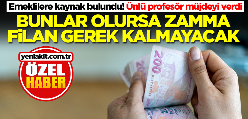 Emeklilere kaynak bulundu! Ünlü profesör müjdeyi verdi... Bunlar olursa zamma filan gerek kalmayacak