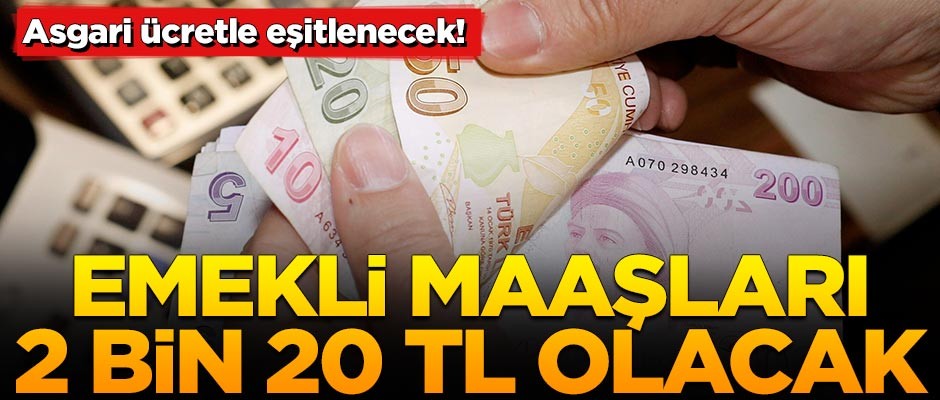 Emeklilere müjde! Maaşlar 2 bin 20 TL olacak