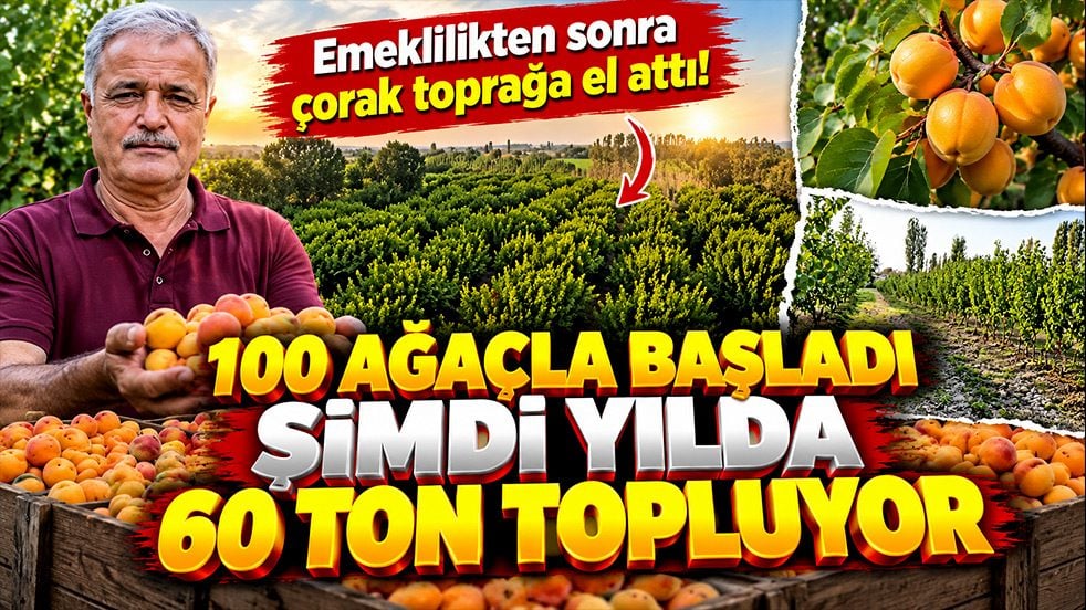 Emeklilikten sonra çorak toprağa el attı! 100 ağaçla başladı şimdi yılda 60 ton topluyor