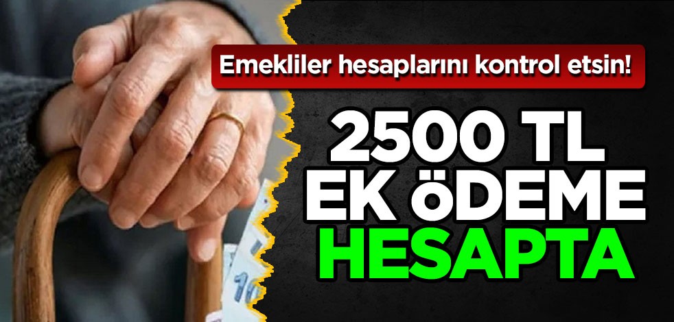 Emekliye 2500 TL ek ödeme: TCKN son hanesine göre hesapta! Emekliler hemen hesaplarını kontrol etsin!