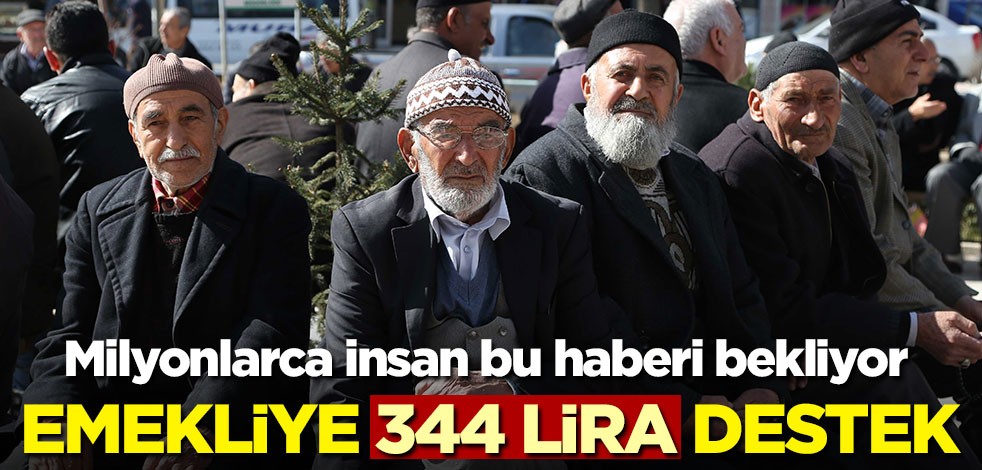 Emekliye 344 lira destek