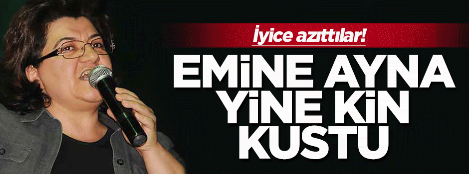 Emine Ayna: Silahlı mücadele veriyoruz
