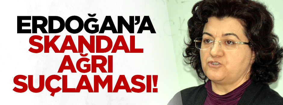 Emine Ayna'dan Erdoğan'a skandal Ağrı suçlaması!
