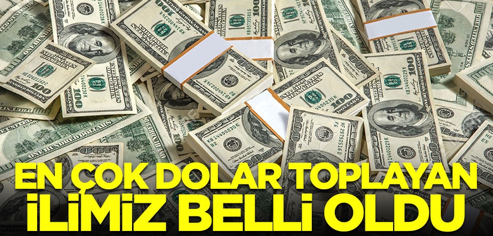 En çok dolar toplayan ilimiz belli oldu! Durmadan dolar alıyorlar
