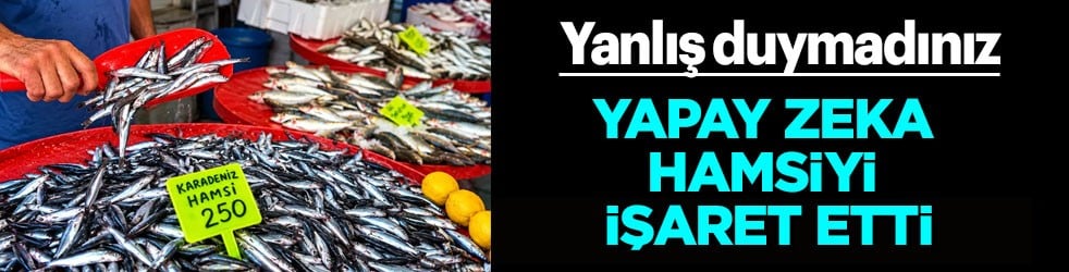 En faydalı protein, vitamin ve mineraller açısından önemli olduğu belli oldu: Yapay zeka hamsiyi işaret etti