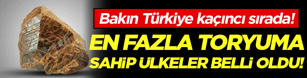 En fazla toryuma sahip ülkeler belli oldu! Bakın Türkiye kaçıncı sırada!