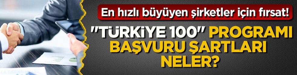 En hızlı büyüyen şirketler için fırsat! "Türkiye 100" programı başvuru şartları neler?
