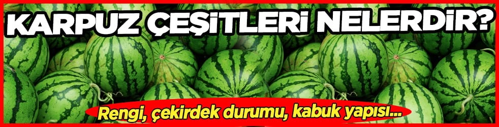 En iyi karpuz peki hangisi? Karpuz Çeşitleri Nelerdir? Karpuz Türleri ve Özellikleri...