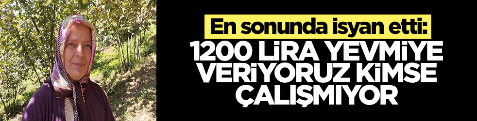 En sonunda isyan etti: 1200 lira yevmiye veriyoruz kimse çalışmıyor