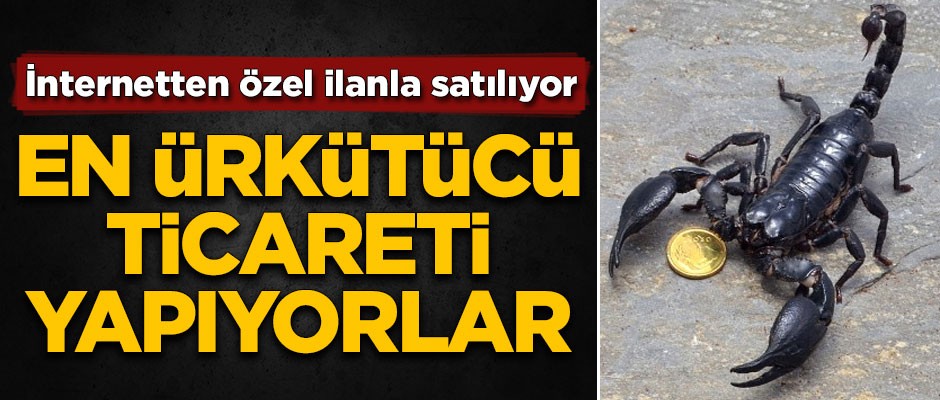 En ürkütücü ticareti yapıyorlar! İnternetten özel ilanla satıyorlar