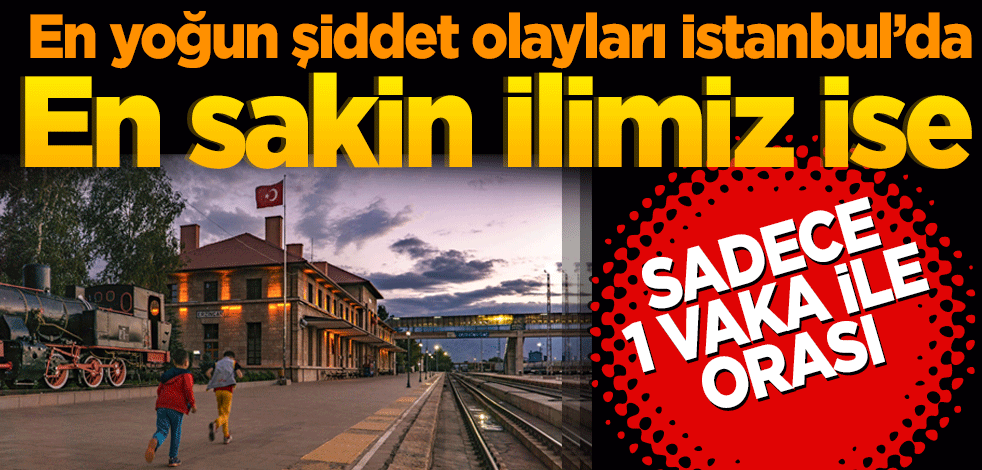 En yoğun şiddet olayları İstanbul’da en sakin ilimiz ise orası
