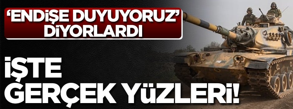 'Endişe duyuyoruz' diyorlardı... Gerçek yüzleri ortaya çıktı!