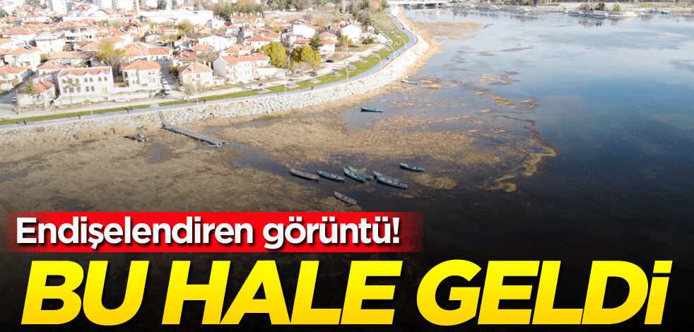 Endişelendiren görüntü! Bu hale geldi