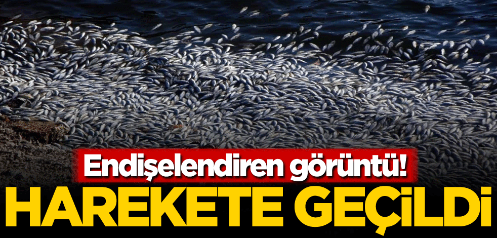 Endişelendiren görüntü! Harekete geçildi