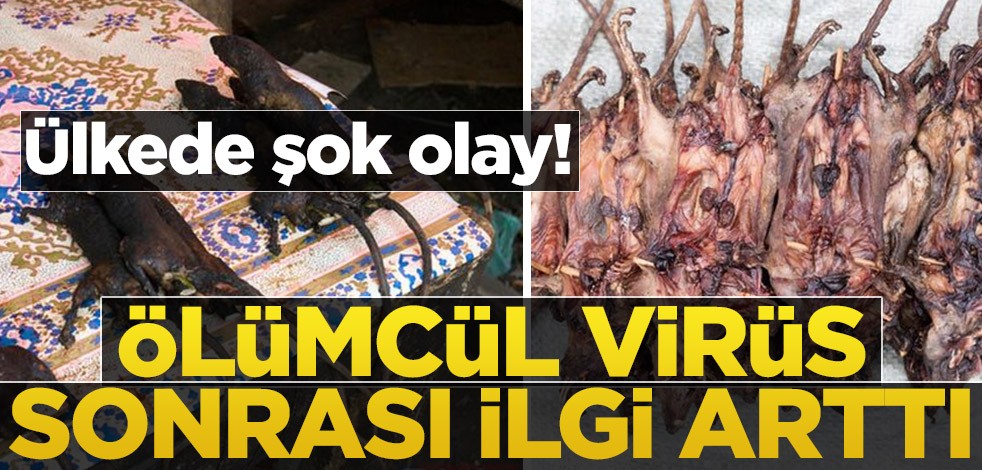 Endonezya’da şok olay! Koronavirüs sonrası ilgi arttı