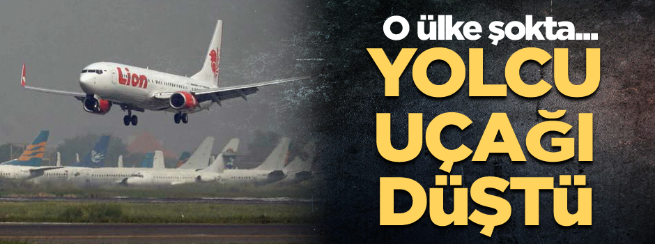Endonezya'da yolcu uçağı düştü