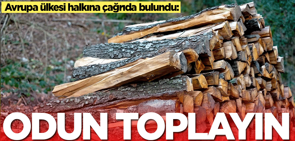 Enerji krizi tırmandı! Avrupa ülkesi halkına çağrıda bulundu: Odun toplayın