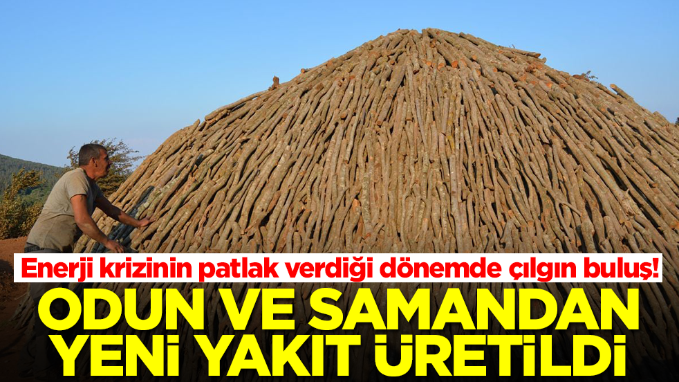 Enerji krizinin patlak verdiği dönemde çılgın buluş! Odun ve samandan yeni yakıt üretildi