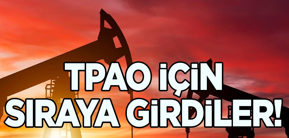Enerjinin üssü Türkiye: Cezayir, Libya, İsrail ve Mısır TPAO için sıraya girdiler! Önemli görüşme, tarihi petrol teklifi