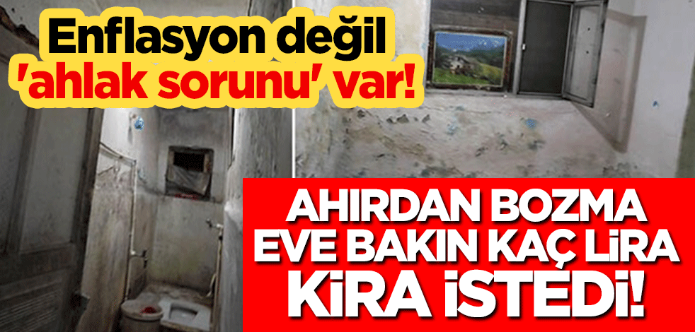 Enflasyon değil 'ahlak sorunu' var! Utanmaz ev sahibi, ahırdan bozma eve bakın kaç lira kira istedi!
