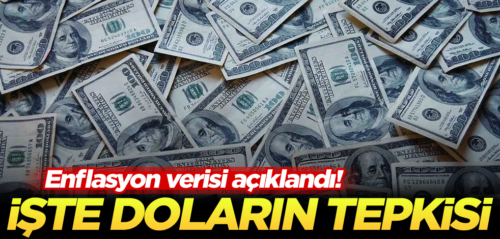 Enflasyon verisi açıklandı! İşte doların tepkisi