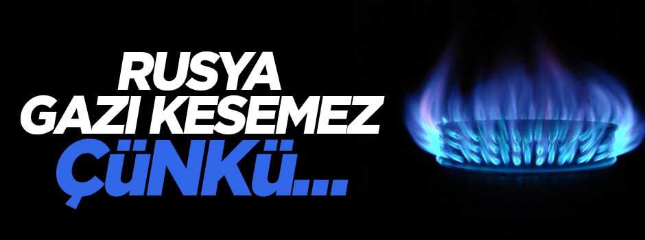 EPDK Başkan Yardımcısı Mehmet Ertürk: Rusya doğalgazı kesemez çünkü...