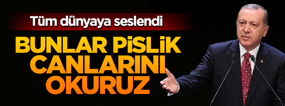 Erdoğan: 63 ülkenin gücü 15 bin DEAŞ'lıya yetmiyor mu?