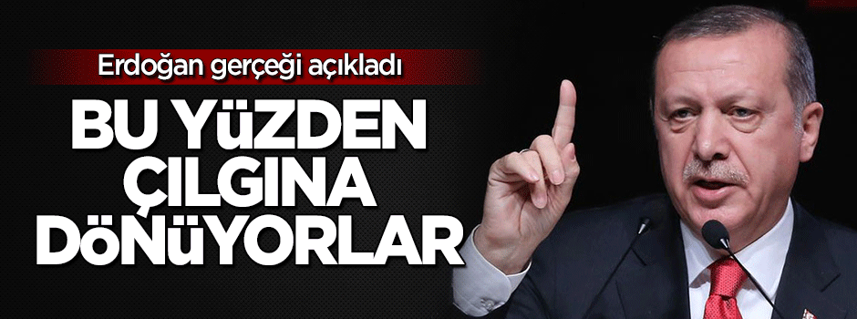 Erdoğan açıkladı: Bu yüzden çılgına dönüyorlar!