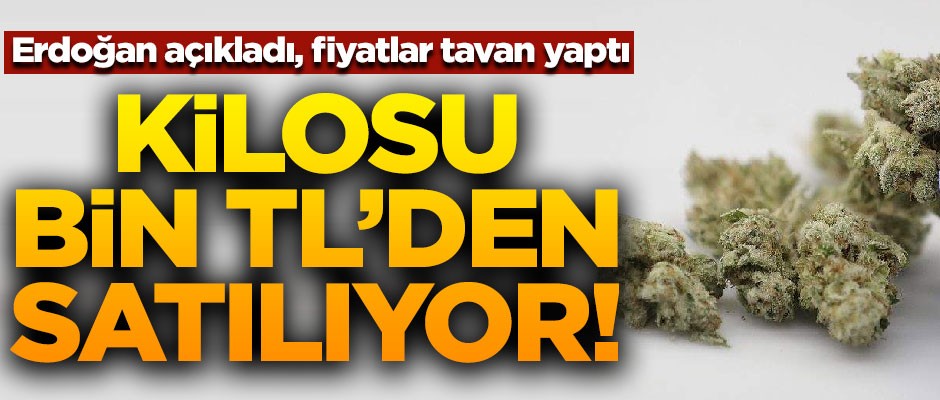 Erdoğan açıkladı, fiyatlar tavan yaptı! Kilosu bin TL'den satılıyor