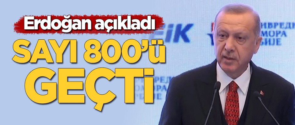Erdoğan açıkladı: Sırbistan'da Türk firma sayısı 800'ü geçti