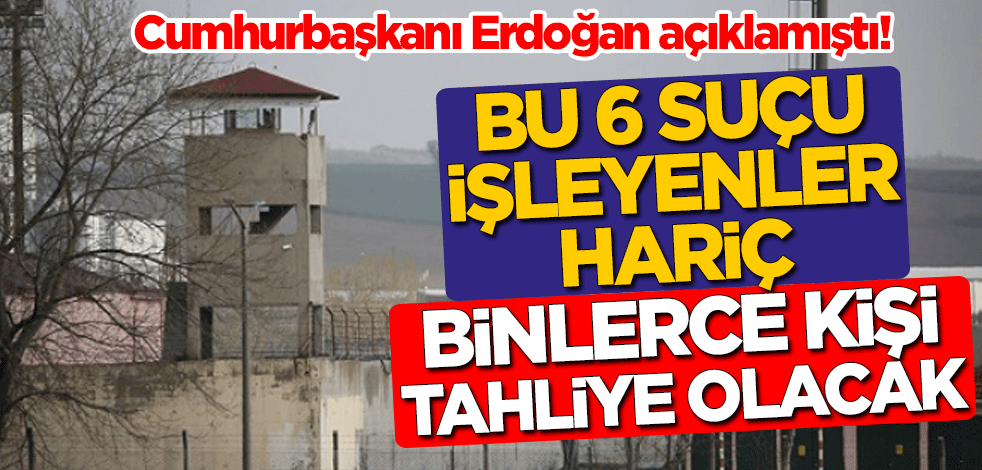 Erdoğan açıklamıştı! Bu 6 suçu işleyenler hariç, binlerce kişi tahliye olacak