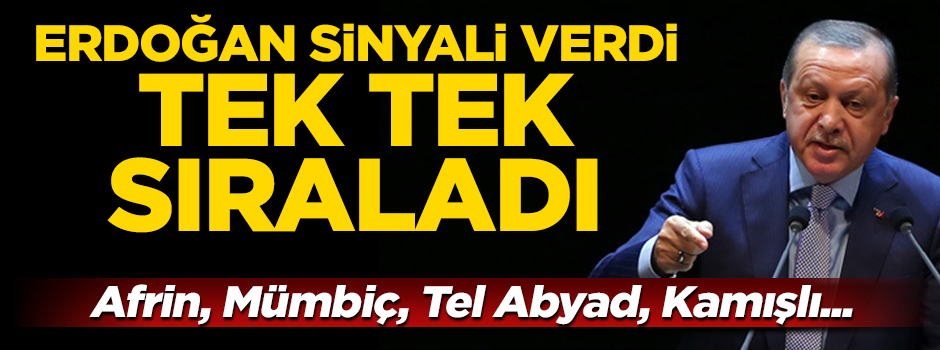 Erdoğan: Afrin'i, Mümbiç'i, Tel Abyad'ı, Kamışlı'yı teröristlerden temizleyeceğiz