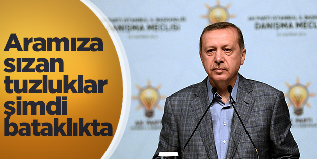 Erdoğan: Aramıza sızan tuzluklar ait oldukları bataklığa gittiler