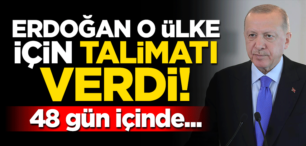 Erdoğan Arnavutluk için talimatı verdi! 48 gün içinde bitirildi