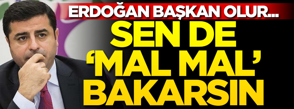Erdoğan başkan olur... Sen de "mal mal" bakarsın!