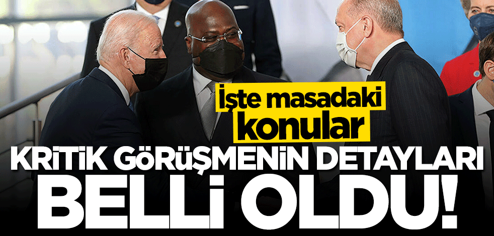 Erdoğan-Biden görüşmesinin detayları belli oldu