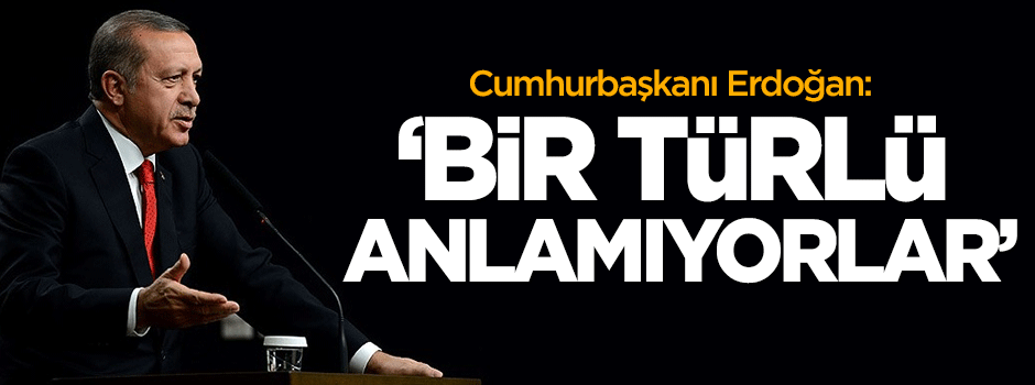 Erdoğan: Bir türlü anlamıyorlar