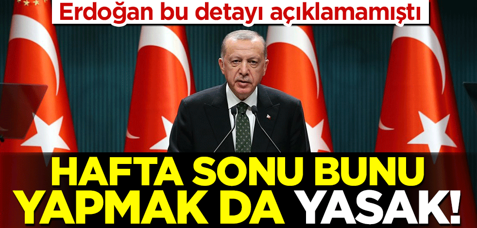 Erdoğan bu detayı açıklamamıştı! Sokağa çıkma yasağında şehirler arası seyahat de yapılamayacak