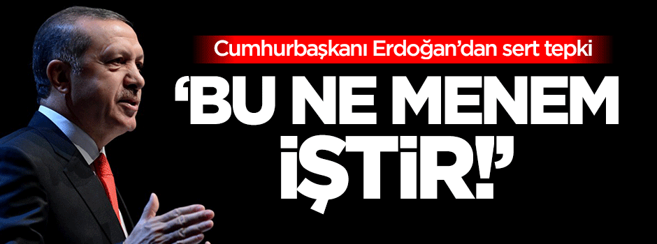 Erdoğan: Bu ne menem iştir!