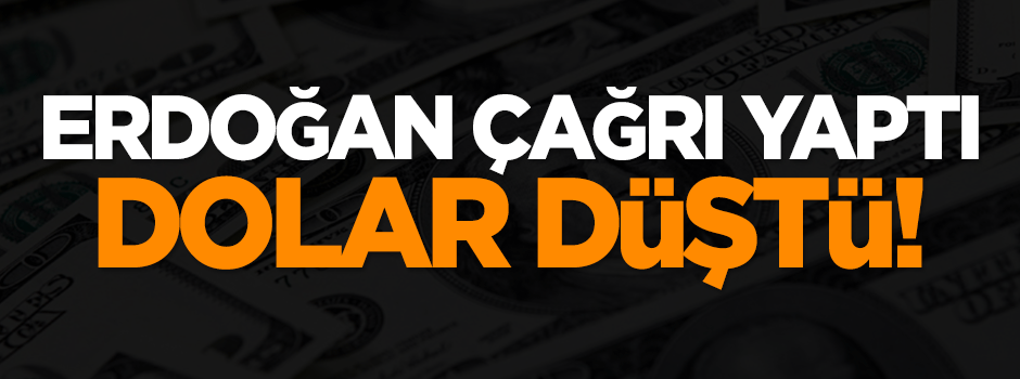 Erdoğan çağrı yaptı, dolar düştü!