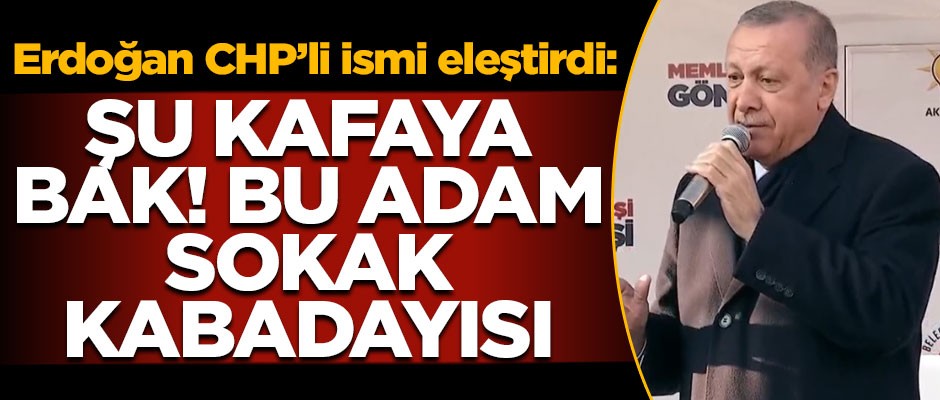 Erdoğan CHP'li ismi eleştirdi! "Şu kafaya bak! Bu adam sokak kabadayısı"