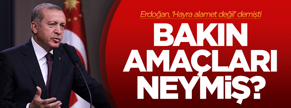 Erdoğan dikkat çekmişti, amaçları ortaya çıktı