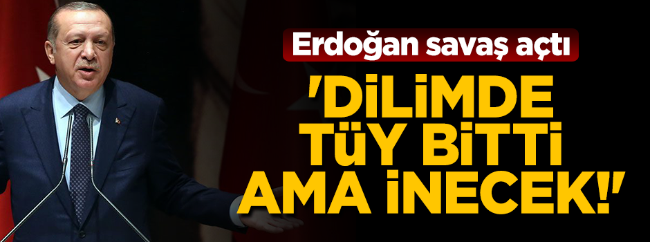 Erdoğan: "Dilimde tüy bitti ama faizler inecek!"