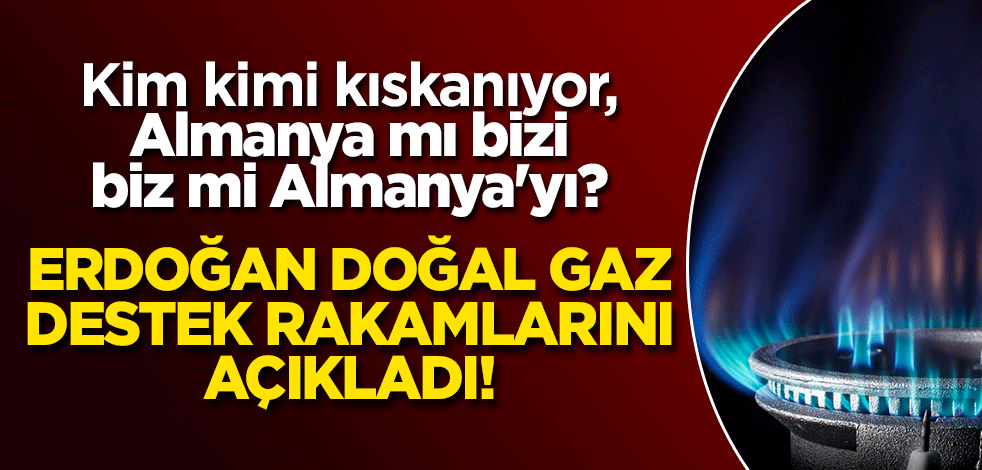Erdoğan doğal gaz destek rakamlarını açıkladı! Kim kimi kıskanıyor, Almanya mı bizi, biz mi Almanya'yı?