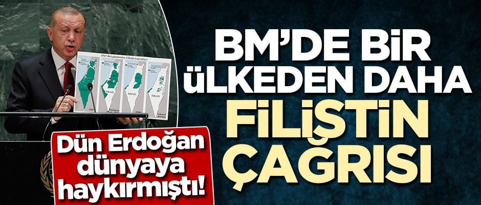 Erdoğan dün dünyaya haykırmıştı! BM'de bir ülkeden daha Filistin çağrısı