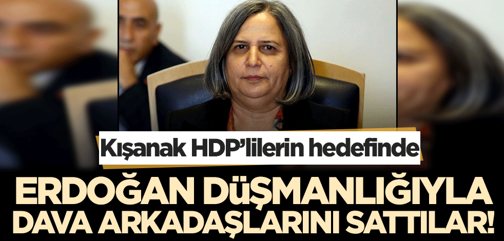 Erdoğan düşmanlığında dava arkadaşlarını sattılar! HDP'li Temelli'den Gülten Kışanak çıkışı